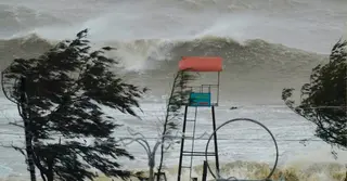 ভিয়েতনামে টাইফুন কাজিকির তাণ্ডব: নিহত ৩, আহত ১০
